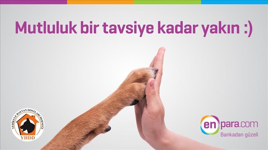 thumbs b c 7880ee08835f51550d47646d5ebc8483