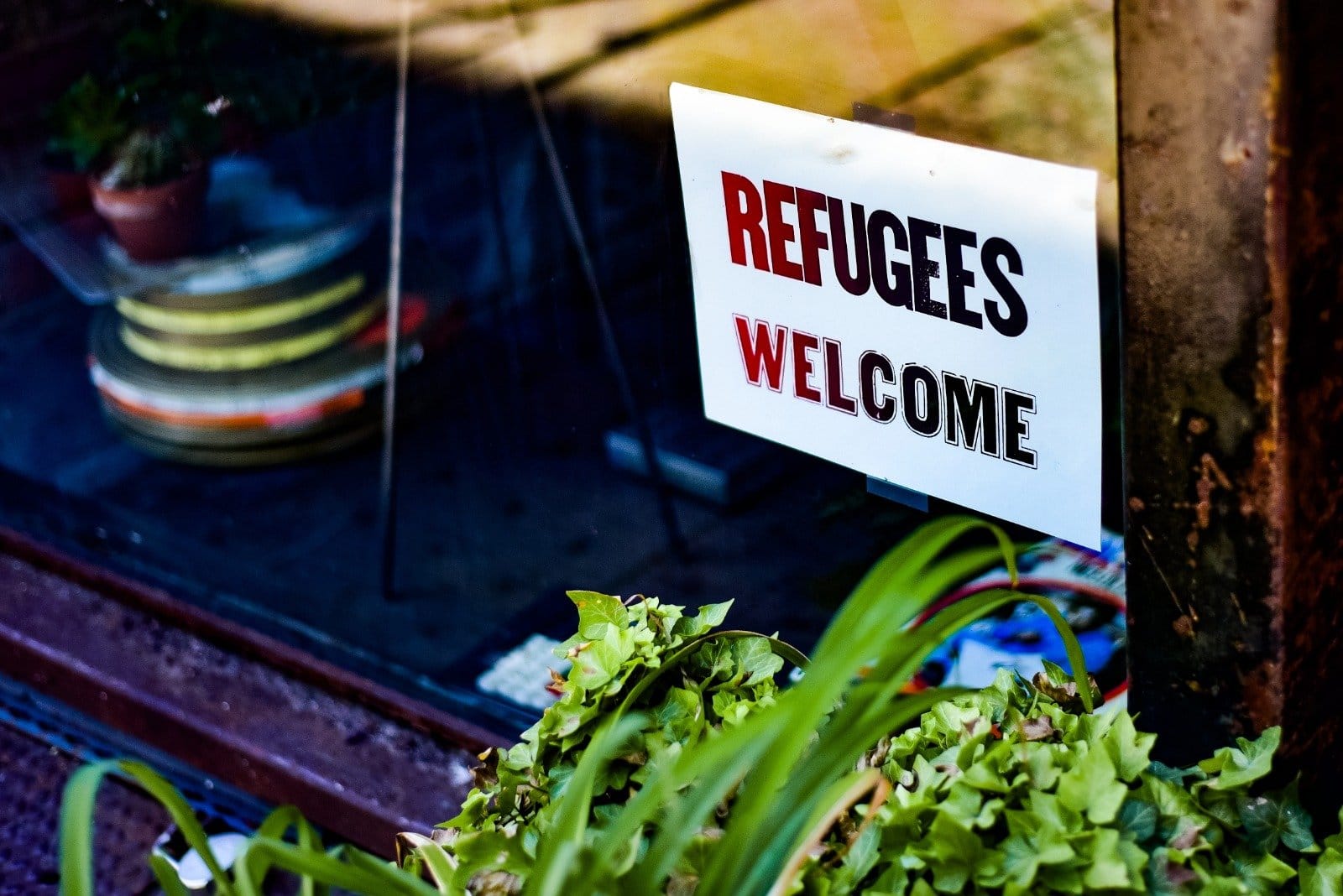 refugees