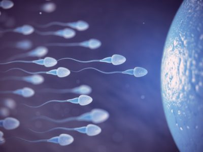 Ingilterede sperm bagiscisi krizi Kadinlar yurtdisina yoneliyor