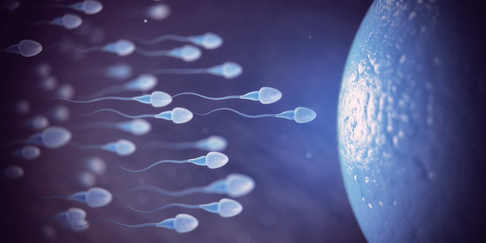 Ingilterede sperm bagiscisi krizi Kadinlar yurtdisina yoneliyor