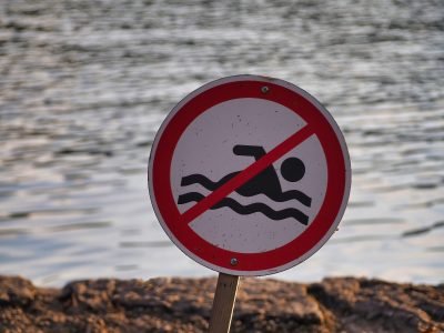 swimmi