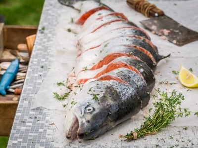 salmon