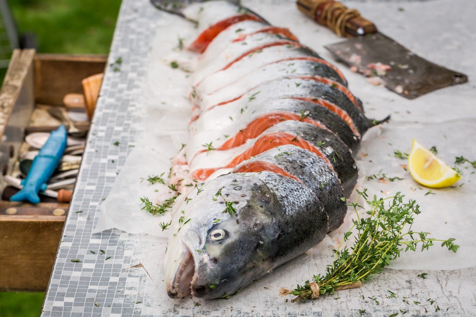salmon