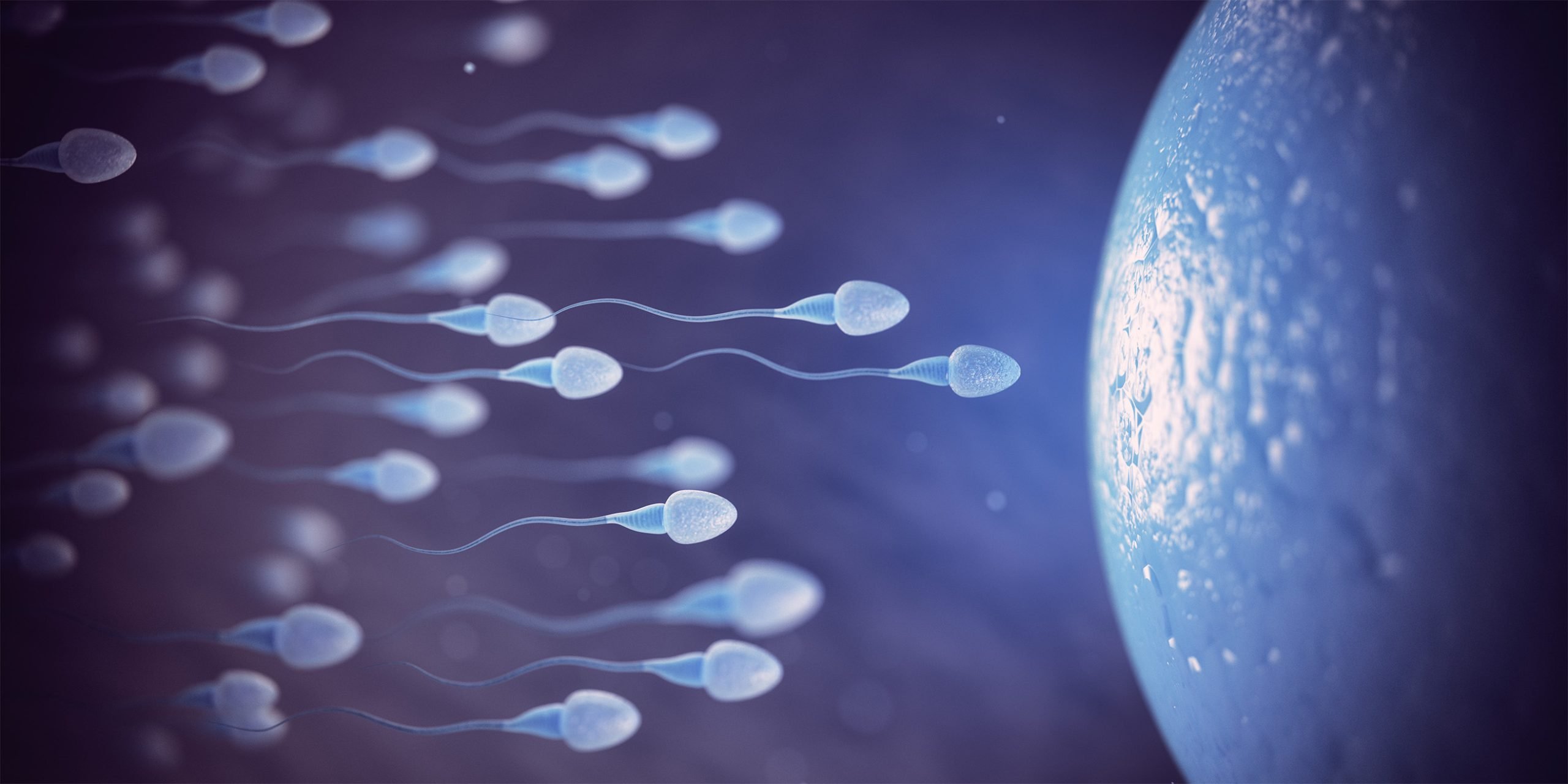 Birleşik Krallık'taki Sperm Bağışları 10 Aile Sınırına Rağmen İhraç Ediliyor 1 sperm scaled