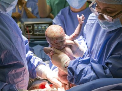 The New Born 1 1140x760 1