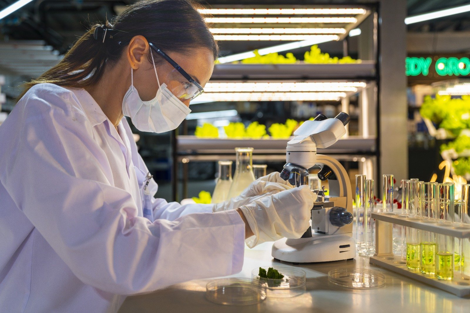 AgriDL, Yapay Zekâ Tabanlı Biyoteknoloji Çözümleriyle Londra’dan Tüm Dünyaya Yayılmayı Hedefliyor 1 nano agri ai